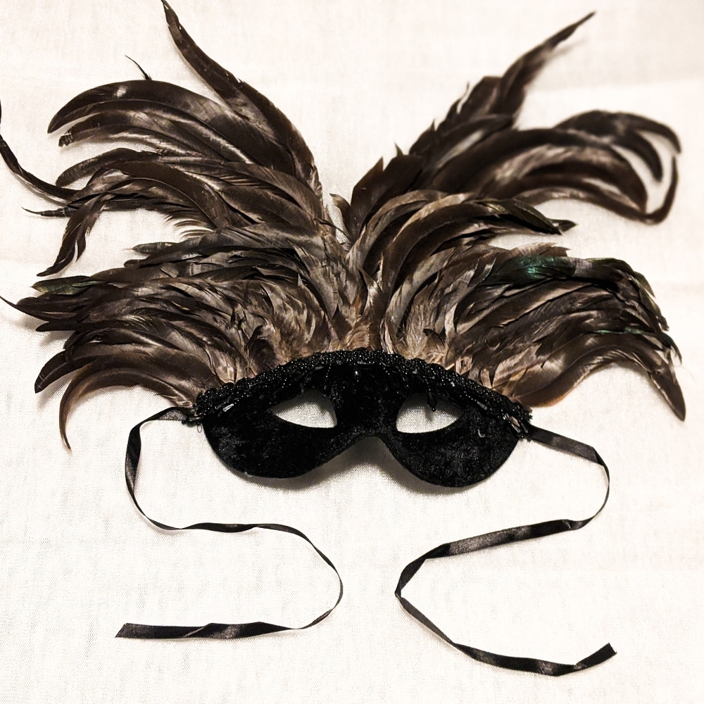 Black Velvet & Chocolate Brown Mask with Feathers - Picture 2 of 6